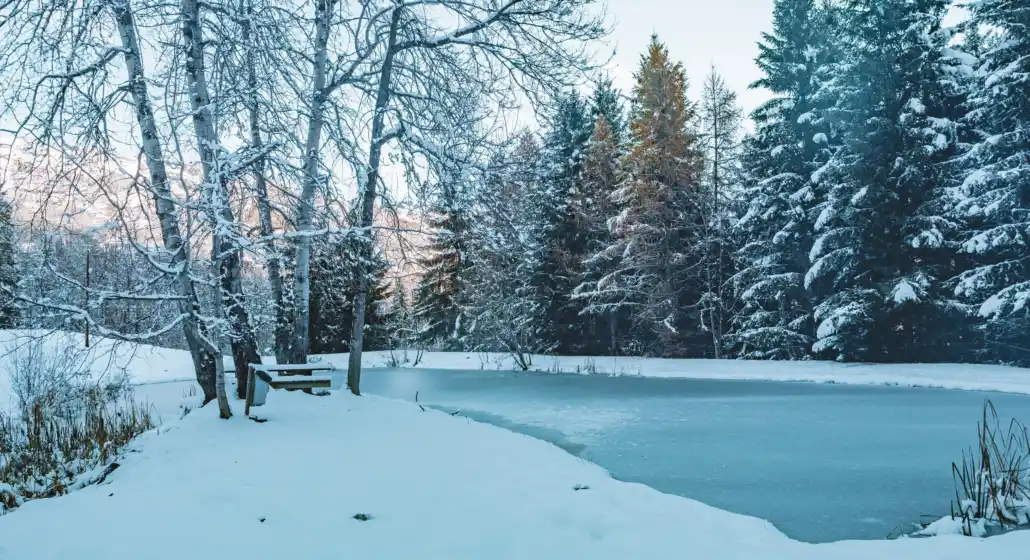Camping municipal de la Tigny_Villarembert