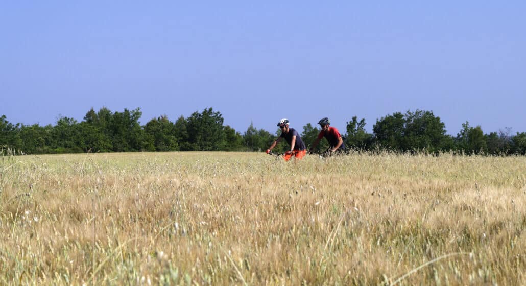 Circuit VTT 5 Provence Verdon