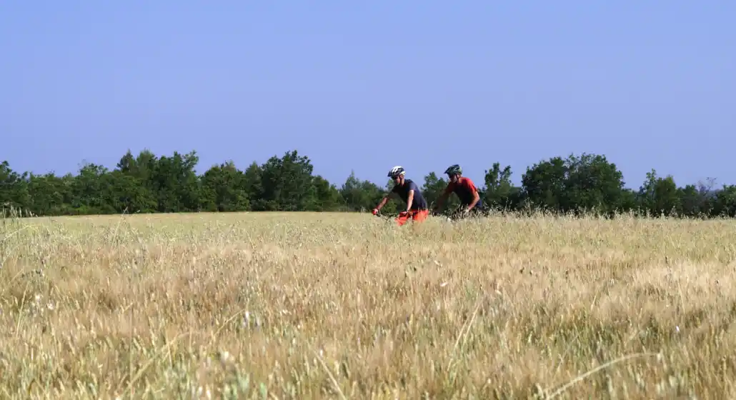 Circuit VTT 5 Provence Verdon