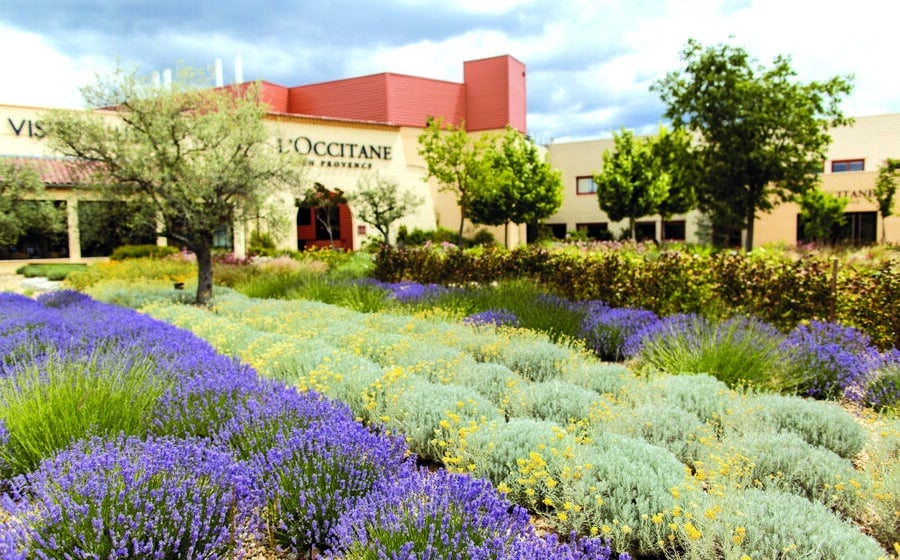 Jardin de L'Occitane en Provence