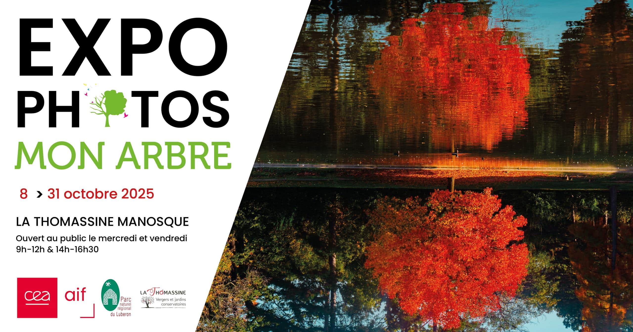 Exposition de photos : Mon arbre