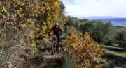 rallye vtt noel