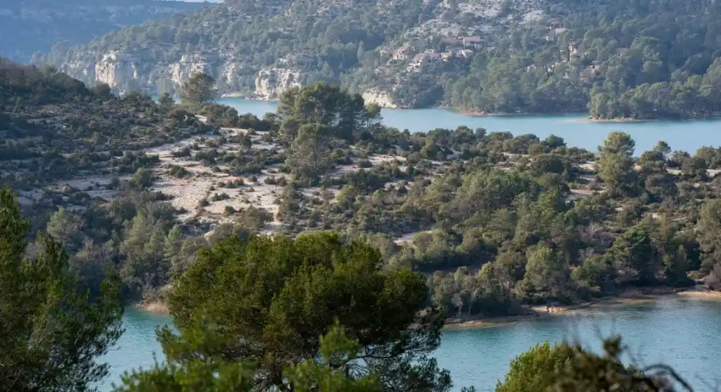 A la découverte des roselières et herbiers aquatiques_Esparron-de-Verdon