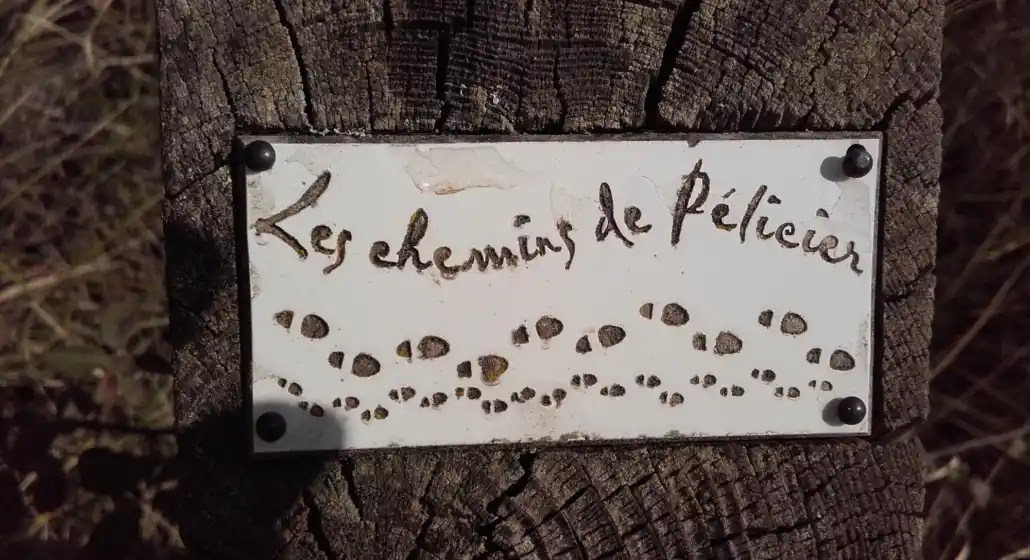 Sortie buissonnière " Forêt de Pélicier, un concentré de biodiversité"_Manosque